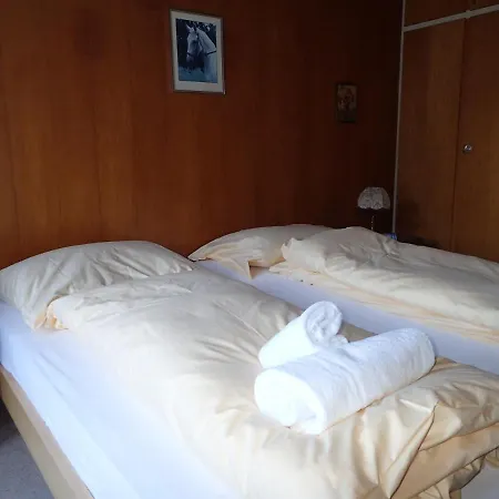 Apartment Dalablick 1 *